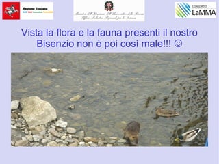 Vista la flora e la fauna presenti il nostro
Bisenzio non è poi così male!!! 
 