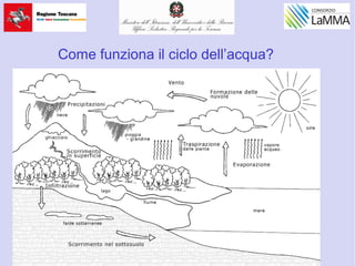 Come funziona il ciclo dell’acqua?
 