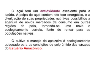 O açaí tem um  antioxidante  excelente para a saúde. A polpa do açaí contém alto teor energético, e a divulgação de suas propriedades nutritivas possibilitou a abertura de novos mercados de consumo em outras regiões do país, tornando-se uma nova e ecologicamente correta, fonte de renda para as populações nativas.  O cultivo e manejo do açaizeiro é ecologicamente adequado para as condições de solo úmido das várzeas do  Estuário Amazônico .  