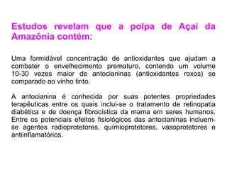 Estudos revelam que a polpa de Açaí da Amazônia contém : Uma formidável concentração de antioxidantes que ajudam a combater o envelhecimento prematuro, contendo um volume 10-30 vezes maior de antocianinas (antioxidantes roxos) se comparado ao vinho tinto. A antocianina é conhecida por suas potentes propriedades terapêuticas entre os quais inclui-se o tratamento de retinopatia diabética e de doença fibrocística da mama em seres humanos. Entre os potenciais efeitos fisiológicos das antocianinas incluem-se agentes radioprotetores, químioprotetores, vasoprotetores e antiinflamatórios. 