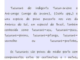 Tucunaré Tucunaré do indígenta Tucun=árvore e Aré=amigo (amigo da árvore), (Cichla spp.) é uma espécie de peixe presente nos rios da América do Sul, em especial do Brasil, também conhecida como tucunaré-açu, tucunaré-paca, tucunaré-pinima, tucunaré-pitanga, tucunaré-vermelho ou tucunaré-pretinho. Os tucunarés são peixes de médio porte com comprimentos entre 30 centímetros e 1 metro. Todos apresentam como característica um ocelo redondo no pedúnculo caudal. 