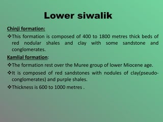 Lower siwalik
Chinji formation:
This formation is composed of 400 to 1800 metres thick beds of
red nodular shales and clay with some sandstone and
conglomerates.
Kamlial formation:
The formation rest over the Muree group of lower Miocene age.
It is composed of red sandstones with nodules of clay(pseudo-
conglomerates) and purple shales.
Thickness is 600 to 1000 metres .
 