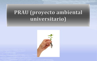 PRAU (proyecto ambiental universitario) 