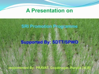 A Presentation on
SRI Promotion Programme
Supported By: SDTT/SPWD
Implemented By: PRAVAT, Gopalnagar, Purulia [W.B]
 