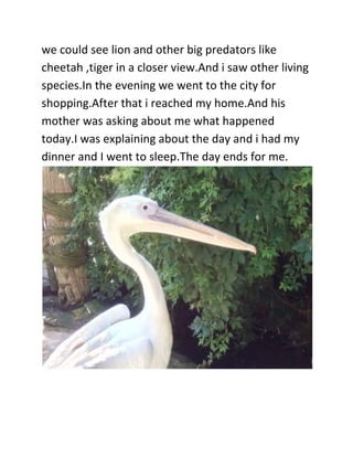we could see lion and other big predators like
cheetah ,tiger in a closer view.And i saw other living
species.In the evening we went to the city for
shopping.After that i reached my home.And his
mother was asking about me what happened
today.I was explaining about the day and i had my
dinner and I went to sleep.The day ends for me.
 