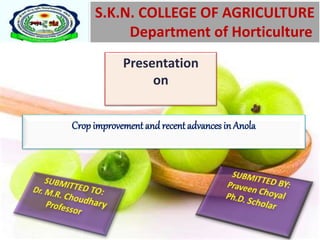 S.K.N. COLLEGE OF AGRICULTURE
Department of Horticulture
Presentation
on
Crop improvement and recentadvances inAnola
 