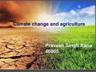 Climate change and agriculture
Praveen Singh Rana
46005
 