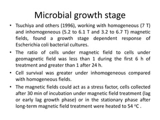 Microbial growth stage
• Tsuchiya and others (1996), working with homogeneous (7 T)
and inhomogeneous (5.2 to 6.1 T and 3.2 to 6.7 T) magnetic
fields, found a growth stage dependent response of
Escherichia coli bacterial cultures.
• The ratio of cells under magnetic field to cells under
geomagnetic field was less than 1 during the first 6 h of
treatment and greater than 1 after 24 h.
• Cell survival was greater under inhomogeneous compared
with homogeneous fields.
• The magnetic fields could act as a stress factor, cells collected
after 30 min of incubation under magnetic field treatment (lag
or early lag growth phase) or in the stationary phase after
long-term magnetic field treatment were heated to 54 oC .
 