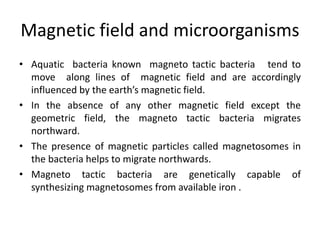 Magnetic field and microorganisms
• Aquatic bacteria known magneto tactic bacteria tend to
move along lines of magnetic field and are accordingly
influenced by the earth’s magnetic field.
• In the absence of any other magnetic field except the
geometric field, the magneto tactic bacteria migrates
northward.
• The presence of magnetic particles called magnetosomes in
the bacteria helps to migrate northwards.
• Magneto tactic bacteria are genetically capable of
synthesizing magnetosomes from available iron .
 