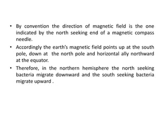 • By convention the direction of magnetic field is the one
indicated by the north seeking end of a magnetic compass
needle.
• Accordingly the earth’s magnetic field points up at the south
pole, down at the north pole and horizontal ally northward
at the equator.
• Therefore, in the northern hemisphere the north seeking
bacteria migrate downward and the south seeking bacteria
migrate upward .
 