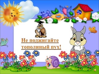 Правила Поведения Летом | PPT