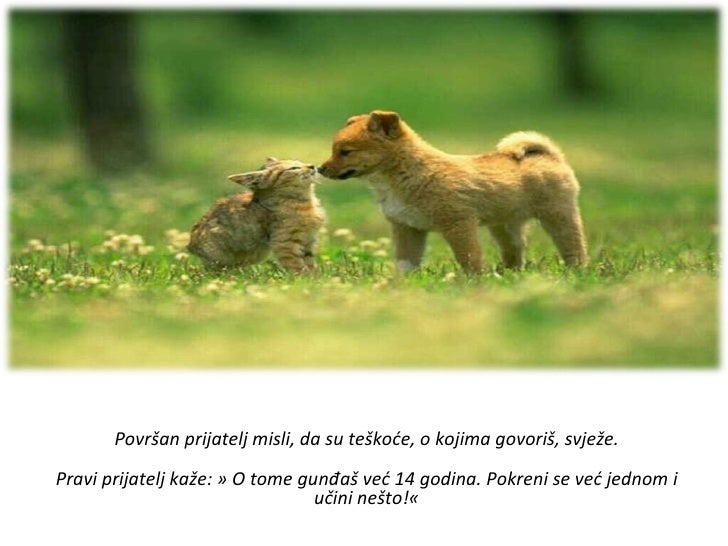 Prijateljstvo pravo prijateljstvo pravo