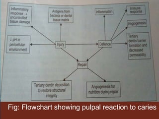 Fig: Flowchart showing pulpal reaction to caries
 
