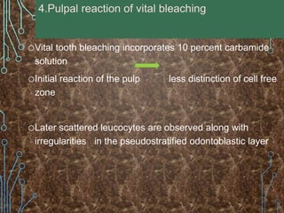 oVital tooth bleaching incorporates 10 percent carbamide
solution
oInitial reaction of the pulp less distinction of cell free
zone
oLater scattered leucocytes are observed along with
irregularities in the pseudostratified odontoblastic layer
4.Pulpal reaction of vital bleaching
 