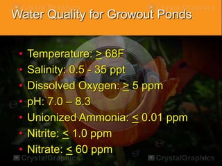 Water Quality for Growout Ponds
• Temperature: > 68F
• Salinity: 0.5 - 35 ppt
• Dissolved Oxygen: > 5 ppm
• pH: 7.0 – 8.3
• Unionized Ammonia: < 0.01 ppm
• Nitrite: < 1.0 ppm
• Nitrate: < 60 ppm
 