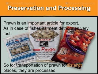 Preservation and Processing
• Prawn is an important
article for export.
• As in case of fishes its
meat detriorates very
fast.
• So for transportation of
prawn to distanct
places, they are
processed.
Prawn is an important article for export.
As in case of fishes its meat detriorates very
fast.
So for transportation of prawn to distanct
places, they are processed.
 