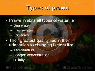 Types of prawn
• Prawn inhibits all types of water i.e
– Sea water
– Fresh-water
– Estuaries
• Their greatest quality lies in their
adaptation to changing factors like
– Temperature
– Oxygen concentration
– salinity
 