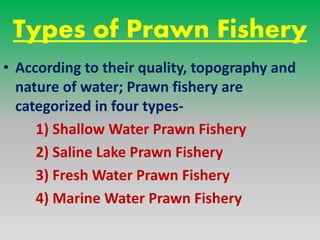 Shallow Water Prawn Fishery
• It is located on the west coast.
• Where fishing is restricted to shallow
water near the coa...