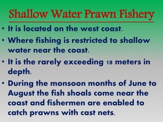 Saline Lake Prawn Fishery
• The principal areas of production of
prawn are extending along the southern
half of coast.
• C...