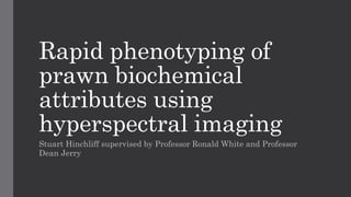 Rapid phenotyping of
prawn biochemical
attributes using
hyperspectral imaging
Stuart Hinchliff supervised by Professor Ronald White and Professor
Dean Jerry
 