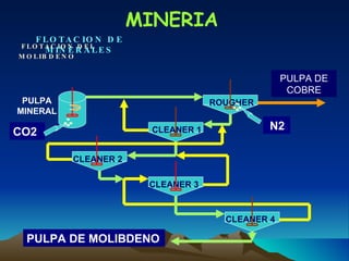 MINERIA PULPA MINERAL CO2 ROUGHER CLEANER 1 CLEANER 2 CLEANER 3 CLEANER 4 N2 PULPA DE MOLIBDENO PULPA DE COBRE FLOTACION DEL MOLIBDENO   FLOTACION DE MINERALES 