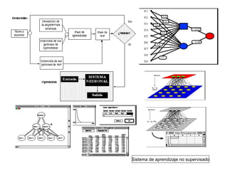 Sistema de aprendizaje no supervisado
 
