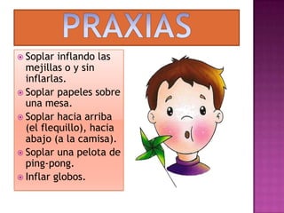 PRAXIASSoplar inflando las mejillas o y sin inflarlas.Soplar papeles sobre una mesa.Soplar hacia arriba (el flequillo), hacia abajo (a la camisa).Soplar una pelota de ping-pong.Inflar globos.