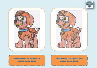 ENSEÑAMOS LOS DIENTES DE
ARRIBA COMO ZUMA
ENSEÑAMOS LOS DIENTES DE
ABAJO COMO ZUMA
 