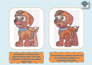 RELAMEMOS LAS MUELAS DE
DEBAJO DE UN LADO Y DE OTRO.
DESPUÉS LAS MUELAS DE ARRIBA
COMO ZUMA
COLOCAMOS LA LENGUA DETRÁS DE
LOS DIENTES DE ARRIBA Y LA
SACAMOS COMO ZUMA
 