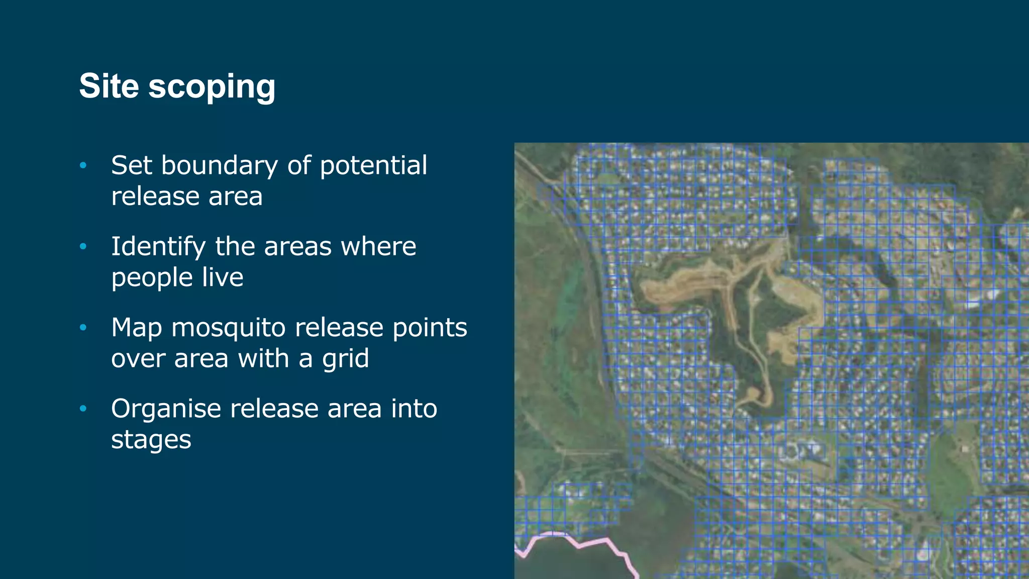 Site scoping
• Set boundary of potential
release area
• Identify the areas where
people live
• Map mosquito release points
over area with a grid
• Organise release area into
stages
 