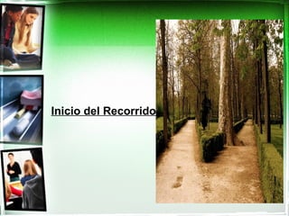Inicio del Recorrido
 