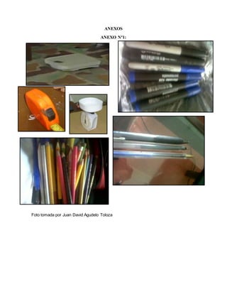 ANEXOS 
ANEXO Nª1: 
Foto tomada por Juan David Agudelo Toloza 
 