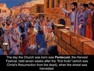 The day the Church was born was Pentecost; the Harvest
Festival, held seven weeks after the "first fruits" (which was
Christ's Resurrection from the dead), when the wheat was
harvested.
 