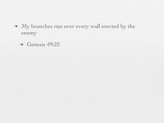 n    My branches run over every wall erected by the
      enemy
     n   Genesis 49:22
 