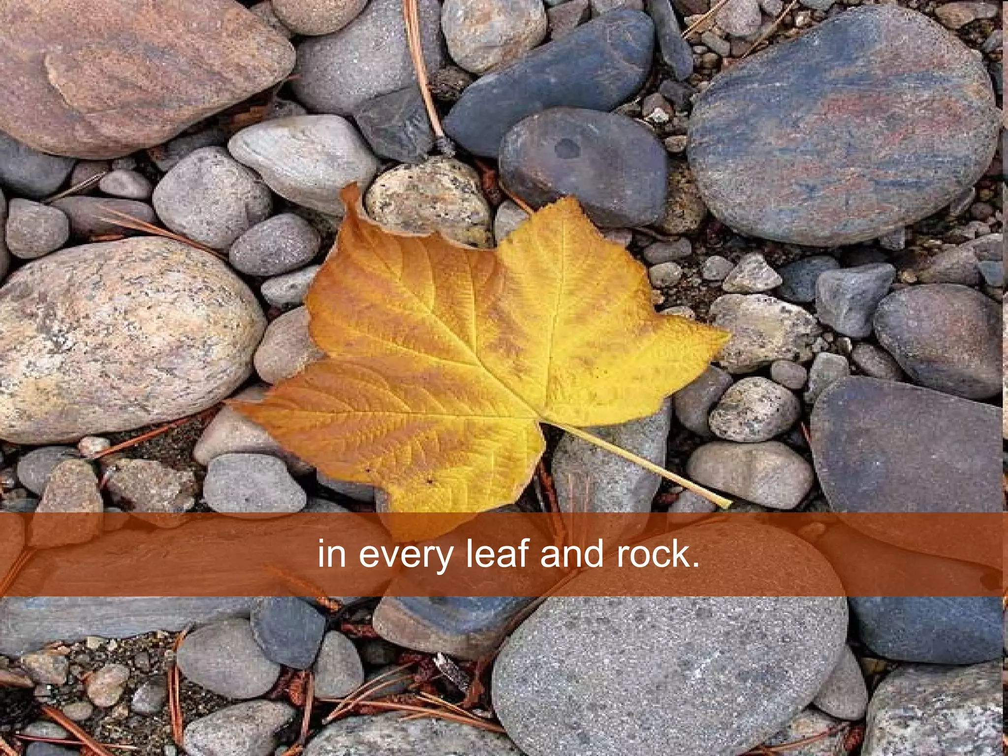 in every leaf and rock.  