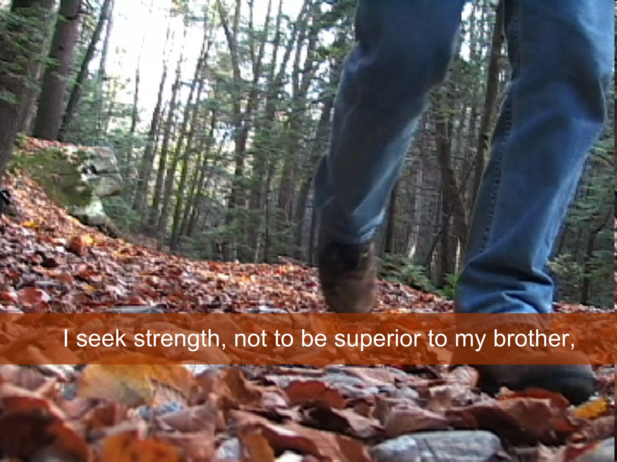 I seek strength, not to be superior to my brother,  