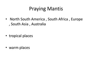 Praying Mantis North South America , South Africa , Europe , South Asia , Australiatropical placeswarm places