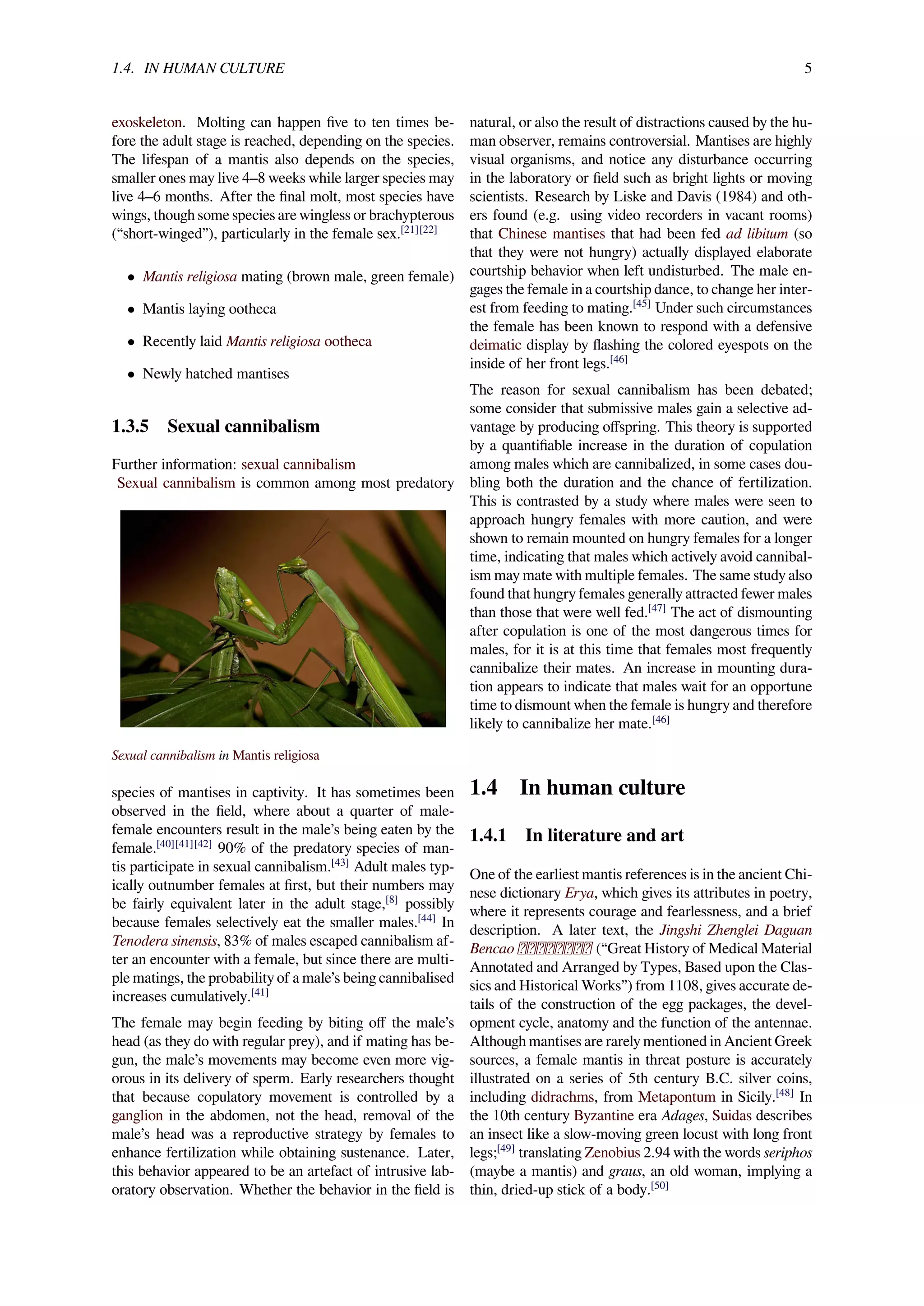 Pray Mantis Symbology of Gods Prophets A Creation Symbol of Gods ...