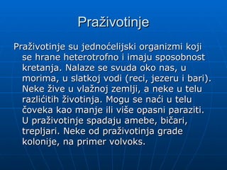 Praživotinje
Praživotinje
Praživotinje su jednoćelijski organizmi koji
Praživotinje su jednoćelijski organizmi koji
se hrane heterotrofno i imaju sposobnost
se hrane heterotrofno i imaju sposobnost
kretanja. Nalaze se svuda oko nas, u
kretanja. Nalaze se svuda oko nas, u
morima, u slatkoj vodi (reci, jezeru i bari).
morima, u slatkoj vodi (reci, jezeru i bari).
Neke žive u vlažnoj zemlji, a neke u telu
Neke žive u vlažnoj zemlji, a neke u telu
razlićitih životinja. Mogu se naći u telu
razlićitih životinja. Mogu se naći u telu
čoveka kao manje ili više opasni paraziti.
čoveka kao manje ili više opasni paraziti.
U praživotinje spadaju amebe, bičari,
U praživotinje spadaju amebe, bičari,
trepljari. Neke od praživotinja grade
trepljari. Neke od praživotinja grade
kolonije, na primer volvoks.
kolonije, na primer volvoks.
 