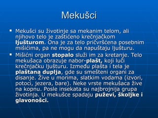 Mekušci
Mekušci
 Mekušci su životinje sa mekanim telom, ali
Mekušci su životinje sa mekanim telom, ali
njihovo telo je zaštićeno krečnjačkom
njihovo telo je zaštićeno krečnjačkom
ljušturom
ljušturom. Ona je za telo pričvršćena posebnim
. Ona je za telo pričvršćena posebnim
mišićima, pa ne mogu da napuštaju ljušturu.
mišićima, pa ne mogu da napuštaju ljušturu.
 Mišićni organ
Mišićni organ stopalo
stopalo služi im za kretanje. Telo
služi im za kretanje. Telo
mekušaca obrazuje nabor-
mekušaca obrazuje nabor-plašt,
plašt, koji luči
koji luči
krečnjačku ljušturu.
krečnjačku ljušturu. Između plašta i tela je
Između plašta i tela je
plaštana duplja
plaštana duplja, gde su smešteni organi za
, gde su smešteni organi za
disanje. Žive u morima, slatkim vodama (izvori,
disanje. Žive u morima, slatkim vodama (izvori,
potoci, jezera, bare). Neke vrste mekušaca žive
potoci, jezera, bare). Neke vrste mekušaca žive
na kopnu. Posle insekata su najbrojnija grupa
na kopnu. Posle insekata su najbrojnija grupa
životinja. U mekušce spadaju
životinja. U mekušce spadaju puževi, školjke i
puževi, školjke i
glavonošci.
glavonošci.
 