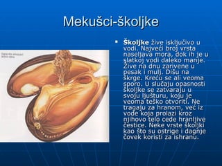 Mekušci-školjke
Mekušci-školjke

Školjke
Školjke žive isključivo u
žive isključivo u
vodi. Najveći broj vrsta
vodi. Najveći broj vrsta
naseljava mora, dok ih je u
naseljava mora, dok ih je u
slatkoj vodi daleko manje.
slatkoj vodi daleko manje.
Žive na dnu zarivene u
Žive na dnu zarivene u
pesak i mulj. Dišu na
pesak i mulj. Dišu na
škrge. Kreću se ali veoma
škrge. Kreću se ali veoma
sporo. U slučaju opasnosti
sporo. U slučaju opasnosti
školjke se zatvaraju u
školjke se zatvaraju u
svoju ljušturu, koju je
svoju ljušturu, koju je
veoma teško otvoriti. Ne
veoma teško otvoriti. Ne
tragaju za hranom, već iz
tragaju za hranom, već iz
vode koja prolazi kroz
vode koja prolazi kroz
njihovo telo cede hranljive
njihovo telo cede hranljive
čestice. Neke vrste školj
čestice. Neke vrste školjki
ki
kao što su ostrige i dagnje
kao što su ostrige i dagnje
čovek koristi za ishranu.
čovek koristi za ishranu.
 