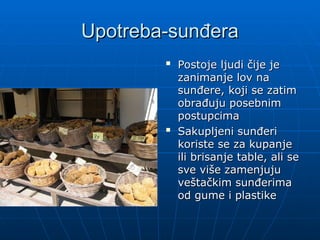 Upotreba-sunđera
Upotreba-sunđera

Postoje ljudi čije je
Postoje ljudi čije je
zanimanje lov na
zanimanje lov na
sunđere, koji se zatim
sunđere, koji se zatim
obrađuju posebnim
obrađuju posebnim
postupcima
postupcima

Sakupljeni sunđeri
Sakupljeni sunđeri
koriste se za kupanje
koriste se za kupanje
ili brisanje table, ali se
ili brisanje table, ali se
sve više zamenjuju
sve više zamenjuju
veštačkim sunđerima
veštačkim sunđerima
od gume i plastike
od gume i plastike
 