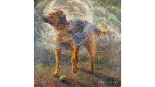 finger painting iris scott dog