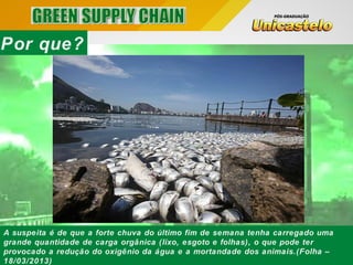 Por que?
A suspeita é de que a forte chuva do último fim de semana tenha carregado uma
grande quantidade de carga orgânica (lixo, esgoto e folhas), o que pode ter
provocado a redução do oxigênio da água e a mortandade dos animais.(Folha –
18/03/2013)
 