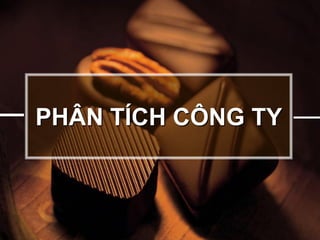 PHÂN TÍCH CÔNG TY
 