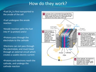 How do they work?
•Fuel (H2) is first transported to
the anode of the cell
•Fuel undergoes the anode
reaction
•Anode reaction splits the fuel
into H+ (a proton) and e-
•Protons pass through the
electrolyte to the cathode
•Electrons can not pass through
the electrolyte, and must travel
through an external circuit which
creates a usable electric current
•Protons and electrons reach the
cathode, and undergo the
cathode reaction
 