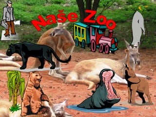 Naše Zoo 