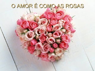 O AMOR É COMO AS ROSAS 