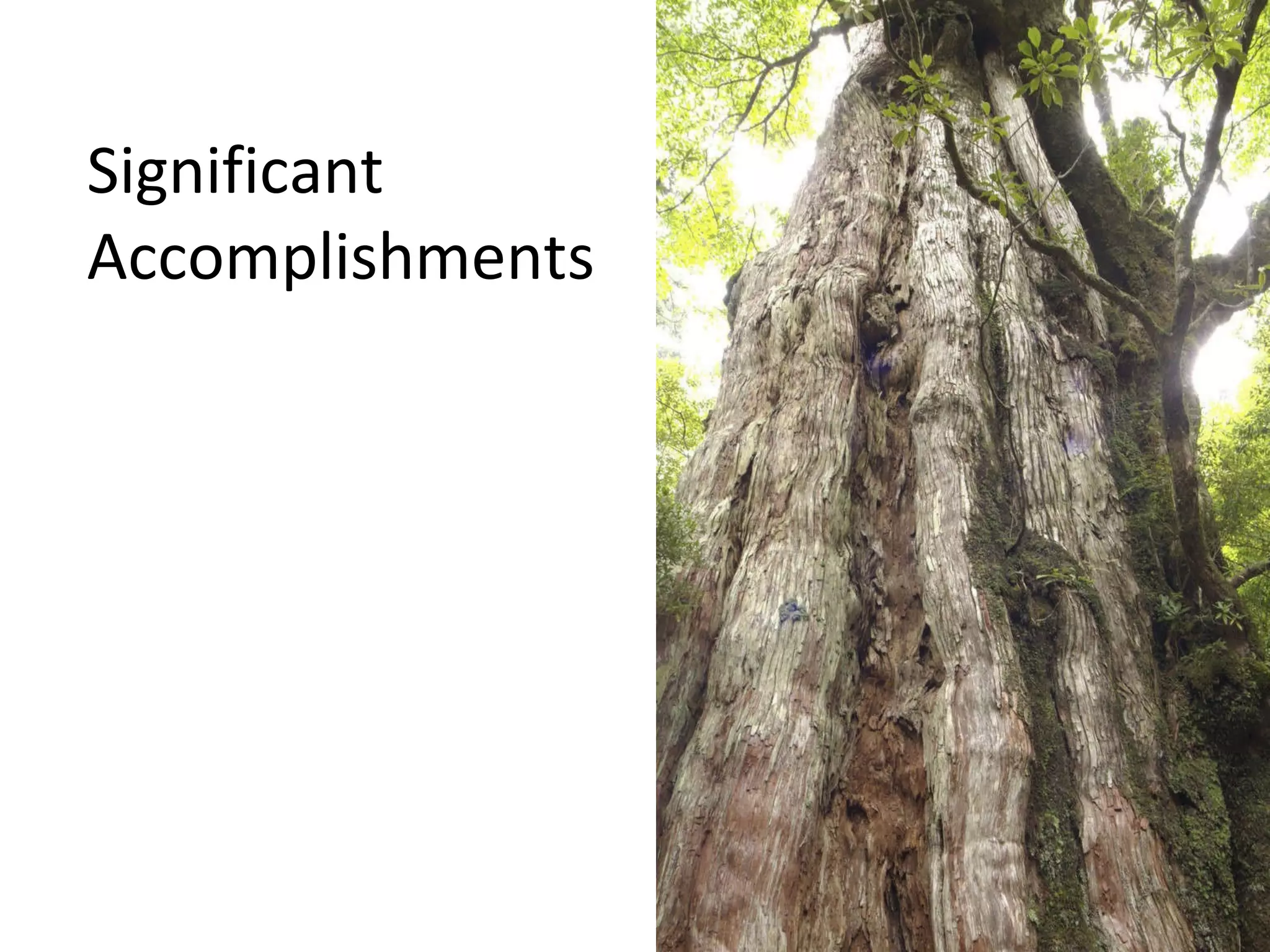 Significant Accomplishments 