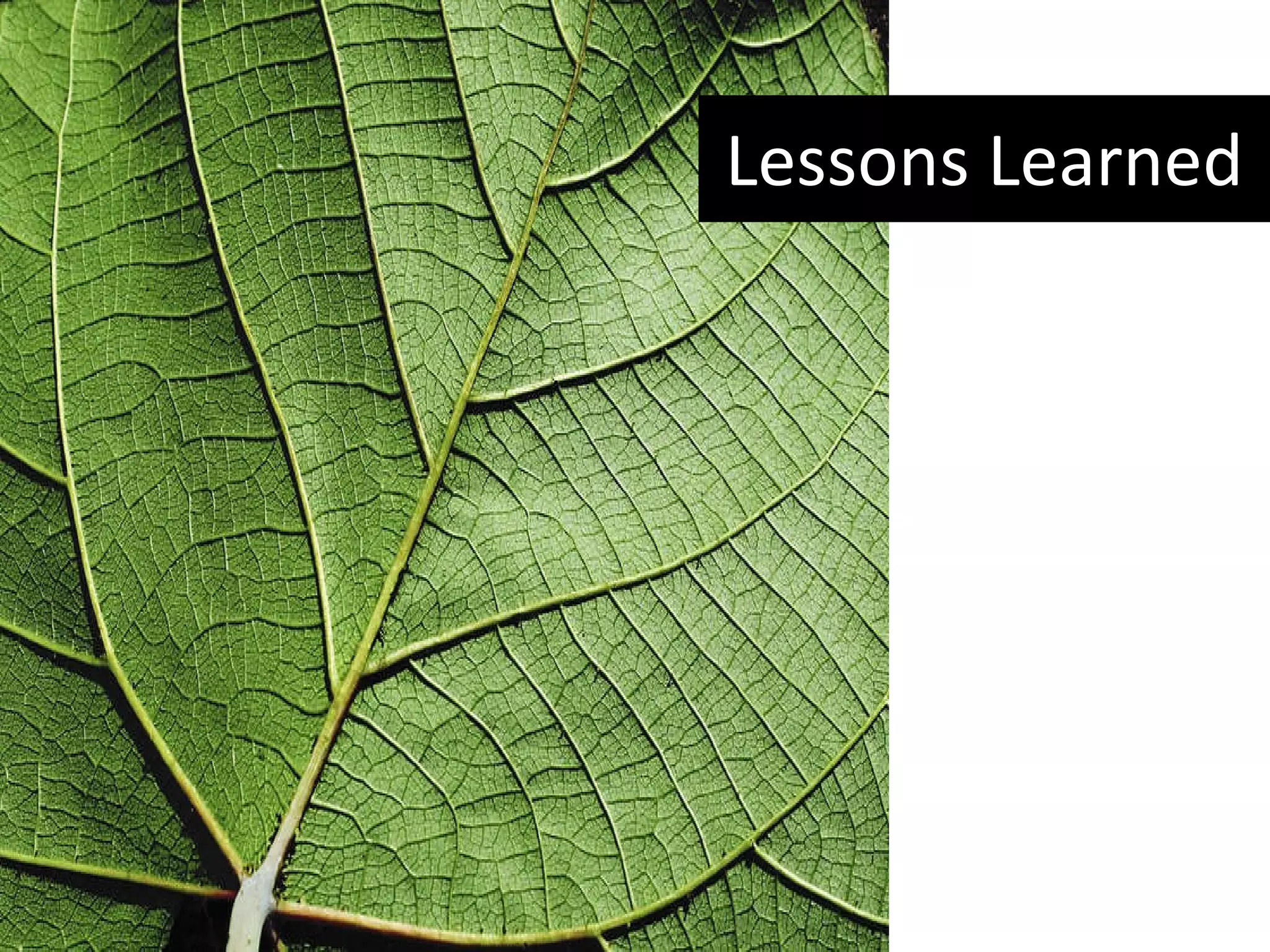 Lessons Learned 
